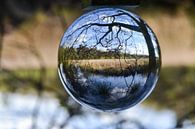 Landschap in glazen bol  van Angela Wouters thumbnail