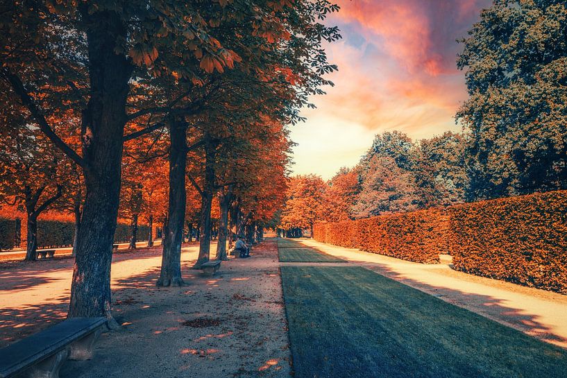 Het Pillnitz Paleis Park in de Vanishing Point Tree Alley van Jakob Baranowski - Photography - Video - Photoshop