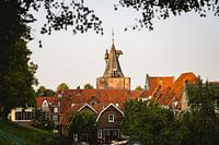 Blick auf das Vischpoort in Elburg