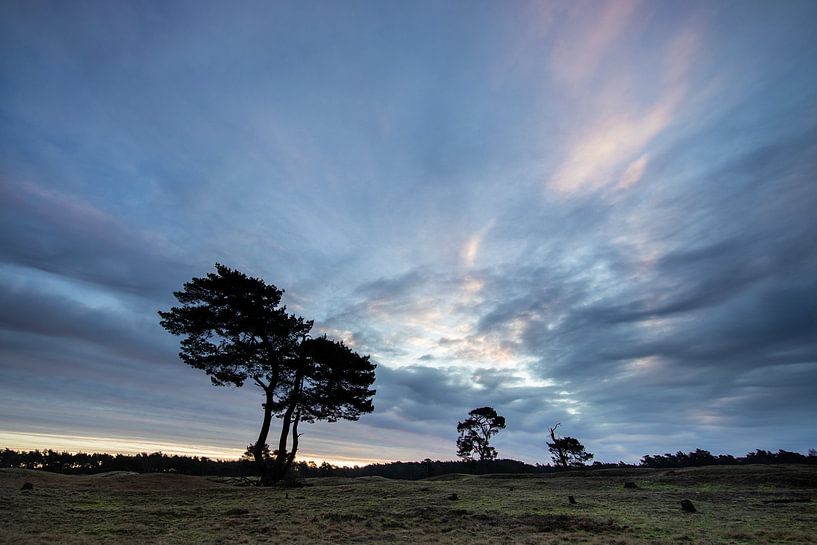 Sunrise on the Heidestein Bornia estate. by Peter Haastrecht, van