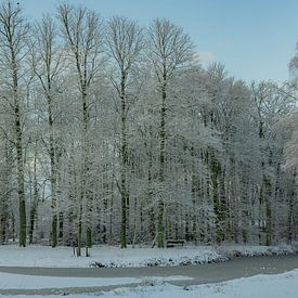 Winter, snow in the Wilgenhof of Beetsterzwaag Opsterland Friesland by Ad Huijben