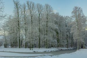 Hiver, neige dans le Wilgenhof de Beetsterzwaag Opsterland Friesland
