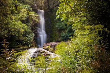 waterfall in the green by Guy Lambrechts