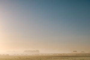 Koeien in de polder van Marika Huisman fotografie