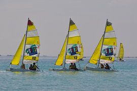 3 Musketiers by Zsjak Wagenaar