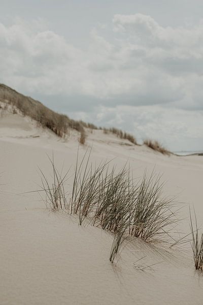 Dune grass at sea by Sanne van Pinxten
