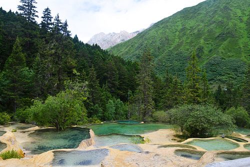 Fairy  land  on  earth