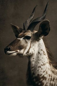 Antilope Portret Tijdloze Elegantie in Natuurlijke Textuur