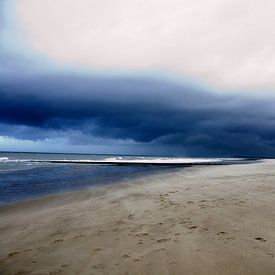 strand knokke von joost vandepapeliere