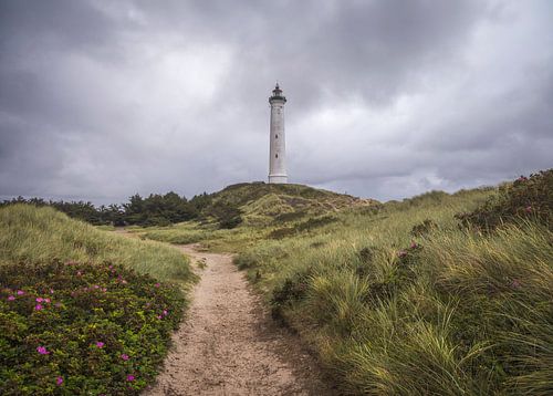 Leuchtturm Lyngvig in Jütland, Dänemark