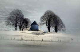 On the top... by Ton de Jong