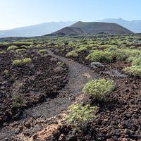 Wandelpad in Malpaís de Güímar op Tenerife