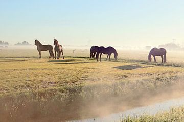 paarden in de mist van Lammie Postmus