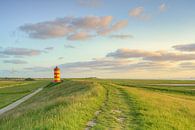 Op de dijk bij de vuurtoren van Pilsum van Michael Valjak thumbnail