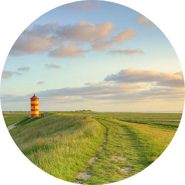 Op de dijk bij de vuurtoren van Pilsum van Michael Valjak