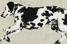Dalmatian Dog Minimalist by Chromatic Storm Studio