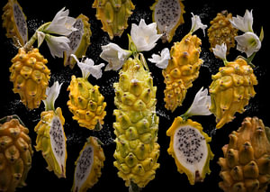 Pitaya Amarylla