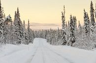 Winter landschap Finland van Menno Schaefer thumbnail