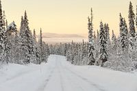 Winter landschap Finland