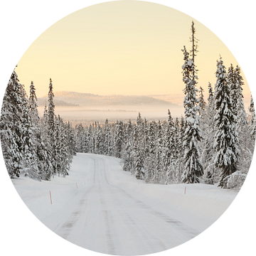 Winter landschap Finland van Menno Schaefer