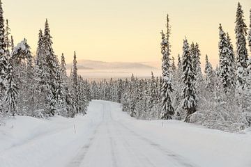 Winter landschap Finland van Menno Schaefer