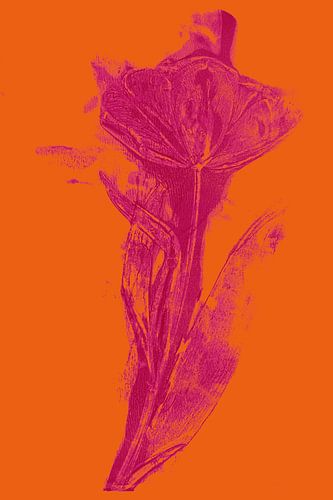 Art botanique moderne. Tulipe Boho aux couleurs vives no. 8