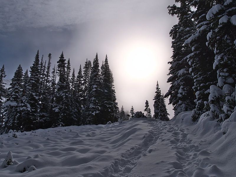 Traces dans la neige par Timon Schneider
