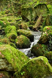Gebirgsbach Schwarzwald 1.8 von Ingo Laue