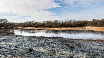 Bezaubernde winterliche Dünenlandschaft