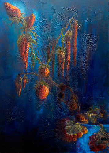 Transience