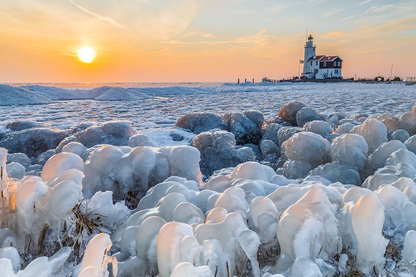 Het paard van Marken in de winter.  van Menno Schaefer