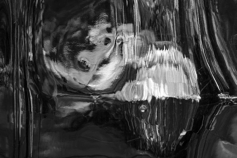 Zwart/Wit Abstract 5 van Alice Berkien-van Mil
