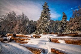 dans les bois sur Konstantinos Lagos