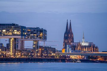 Cologne