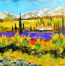 Provence by pol ledent