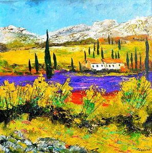 Provence