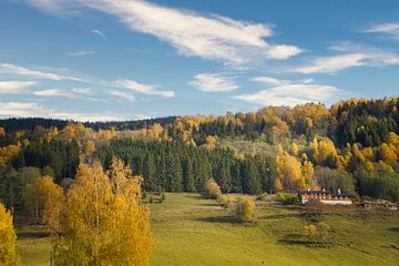 Herfstlandschap met kleurrijke bomen en boerderij op een zonnige weide in Noorwegen.