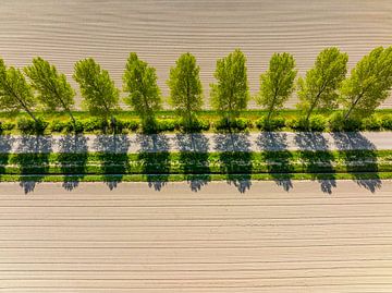 Straße in einer ländlichen Landschaft von oben gesehen von Sjoerd van der Wal Fotografie