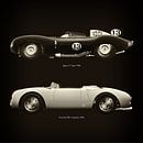 Jaguar D Type 1956 et Porsche 550-A Spyder 1956 par Jan Keteleer Aperçu