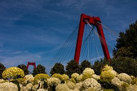 Willemsbrug Rotterdam von RoffaPics