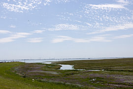Photos de l'île de Spiekeroog, située en Frise orientale, dans la mer du Nord. sur Bianca Meyering Fotos - BMF