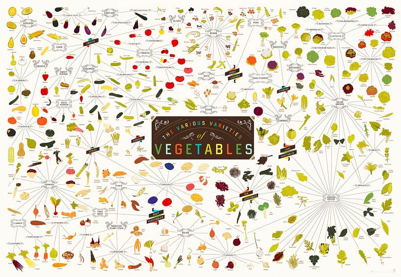 Tableau des différentes variétés de légumes par Christopher Deitch