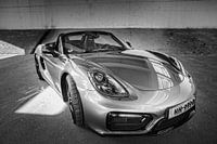 Porsche Boxster GTS Typ 981
