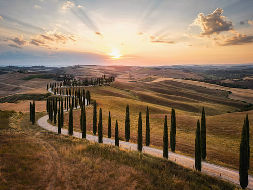 Val d'Orcia at Sunset | Tuscan Landscape Photography featuring Cypress Trees