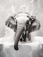 Baby elephant having a bath