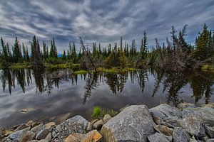 Alaska, natuurgebied.