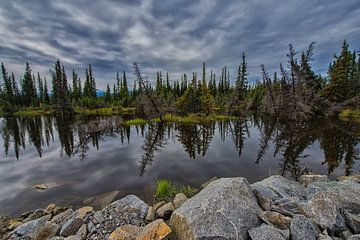 Alaska, natuurgebied. van Tilly Meijer