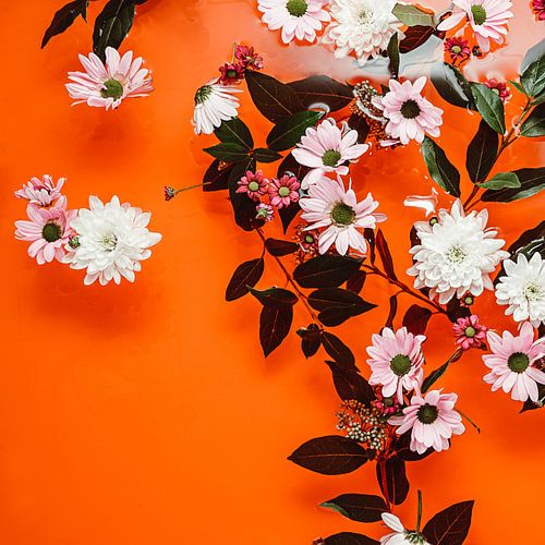 Oriental Evening Red