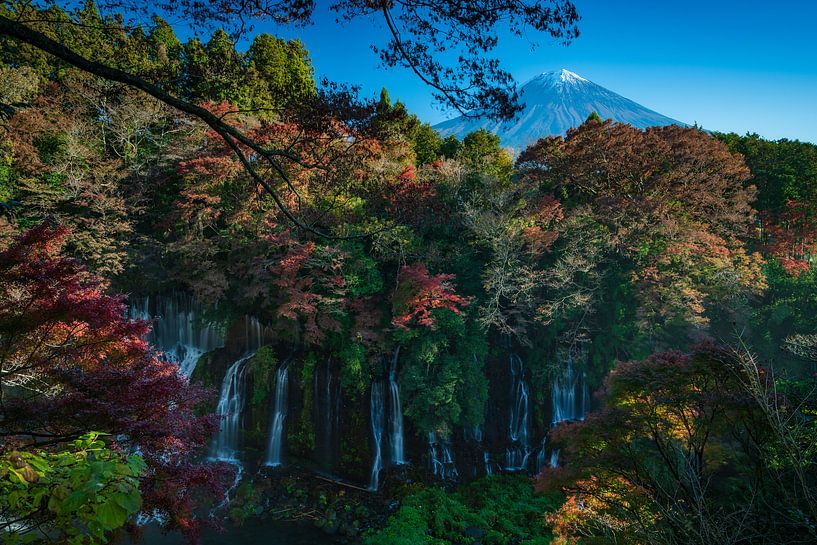 Shiraito Falls in Fujinomiya, Japan by Anges van der Logt