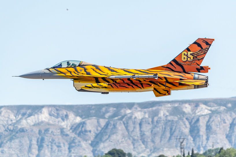 Roaring Tiger! by Jaap van den Berg